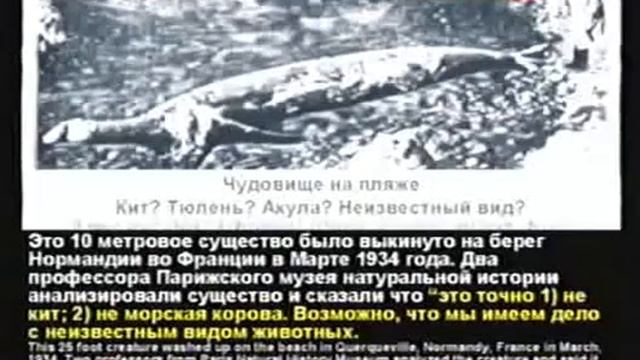 Семинар Кента Ховинда Часть 3 Динозавры и Библия смотреть онлайн