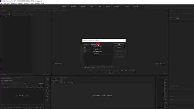 How to Create Parallax 3D Photo Animation with Premiere Pro смотреть онлайн