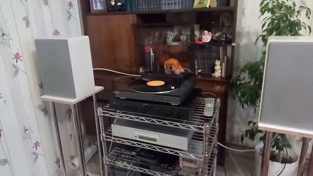 sony ps d707 смотреть онлайн