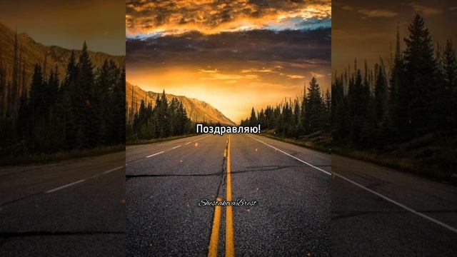 Если Вам комфортно в одиночестве... смотреть онлайн