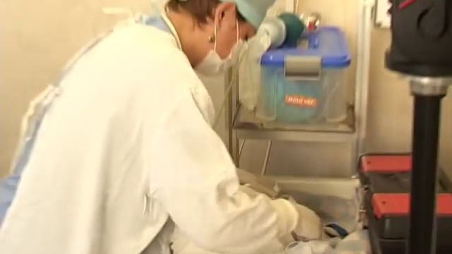 Кесерево смотреть онлайн
