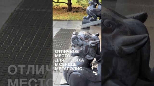 Китайский ландшафтный парк «Хуамин» #moscow #золотая_осень #местамосквы #хуамин #москва смотреть онлайн