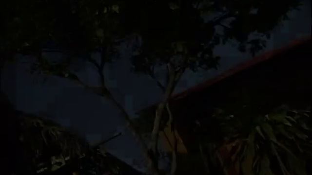Amina is Powerful | Belize Film Festival | Caribbean Film | The Power of women смотреть онлайн