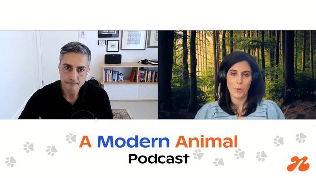 [A Modern Animal Ep9] Scratching the surface of skin & coat conditions with Dr Dani Hoolahan смотреть онлайн