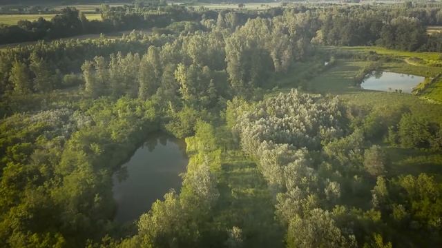 Hunting reserve "La Benese", North of Italy смотреть онлайн