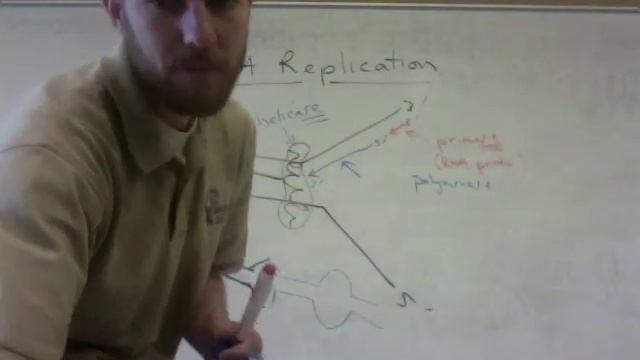 DNA Replication смотреть онлайн