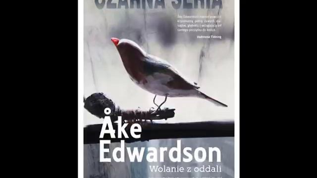 EBOOKI - Kryminały | Sensacja | Thriller - ponad 310 eKsiążek do Pobrania! смотреть онлайн
