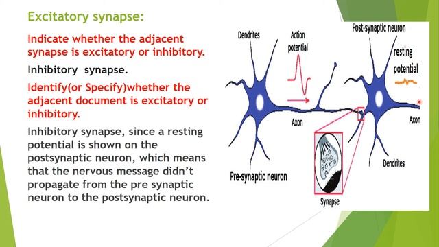 Synapse(3) смотреть онлайн