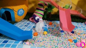 ПОТРЯСНЫЙ АКВАПАРК для ХОМЯЧКОВ** ПРАНКАНУЛИ ПЕЧЕНЮЧКУ