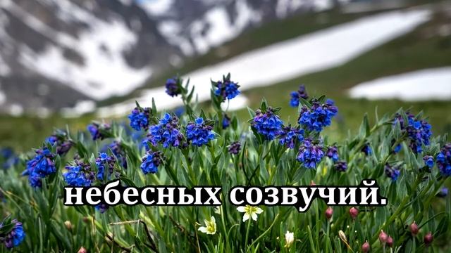 № 244 Очи открой нам _ Караоке с голосом _ Христианские песни _ Гимны надежды смотреть онлайн