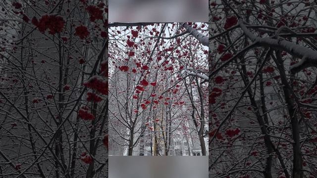 Энием минус смотреть онлайн