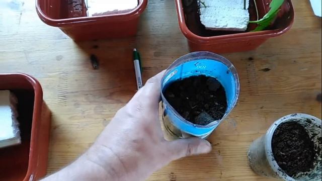 Укореняем пасынки смотреть онлайн