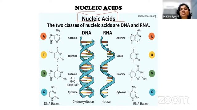 Biomolecules - The Symphony of Life's Molecular Dance || Physiotherapy Webinar смотреть онлайн