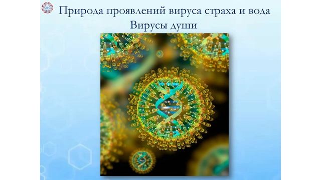 Семинар "Вся правда о воде" часть 1 смотреть онлайн
