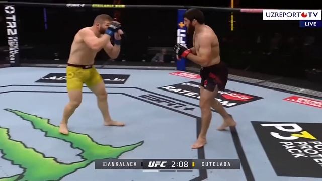 ufc 254 Магомед Анкалаев vs Ион Куцелаба. Magomen Ankalaev vs Ion Cutelaba сильно ударил смотреть онлайн