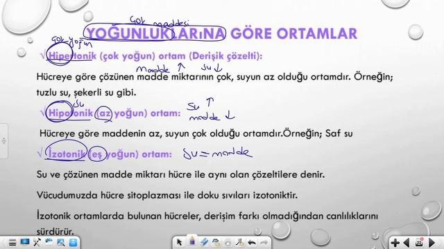9. Sınıf - Biyoloji | Hücre Zarından Madde Geçişleri (Bölüm 2) смотреть онлайн