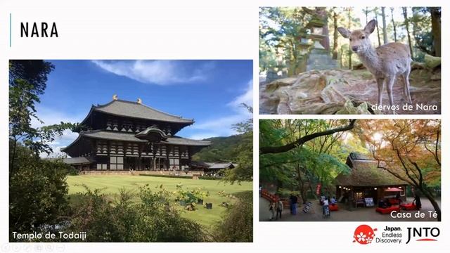 Webinar Pe-Tra - Japón
