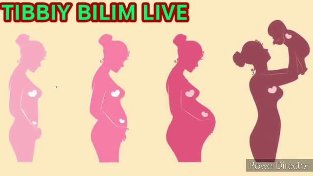 Tez homilador bo'lish usullari,tibbiy va xalqona usullari смотреть онлайн