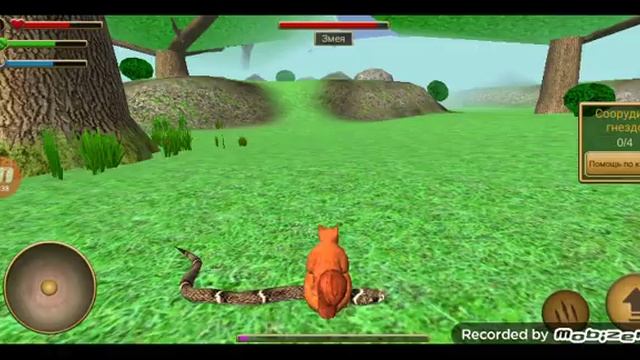 Новый симулятор белки это просто шок а не игра смотреть онлайн