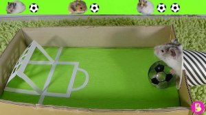 ХОМЯЧКИ ИГРАЮТ В ФУТБОЛ, КТО ПОБЕДИТ?/Three hamsters playing football