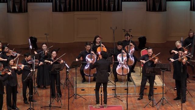 D.Schostakovich - Chamber Symphony op.110a. Elias Duisen | Camerata of Kazakhstan смотреть онлайн