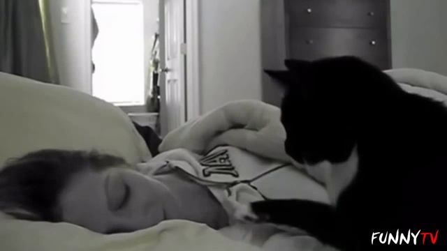 Лучший будильник! смотреть онлайн