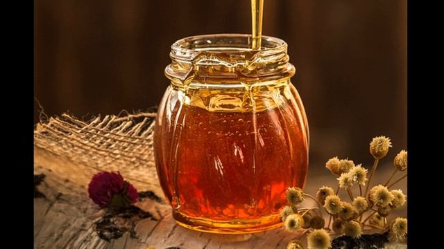 Мед как пребиотик улучшает микробиоту кишечника смотреть онлайн