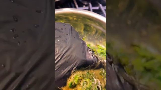 How To Ferment Nettle & Sorrel? The Easiest Way! | With Aelita #herbs #healthylifestyle