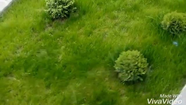 Лето!!! смотреть онлайн