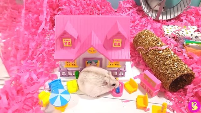 ПОДАРКИ для ВИКИ/ ХОМЯЧКИ ИГРАЮТ В РЕСТОРАН смотреть онлайн