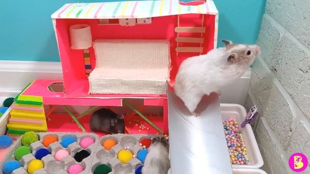 МИЛАШКИ в ИГРОТЕКЕ** КАК МНОГО ХОМЯЧКОВ