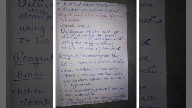 Biochemical test/Microbiology смотреть онлайн