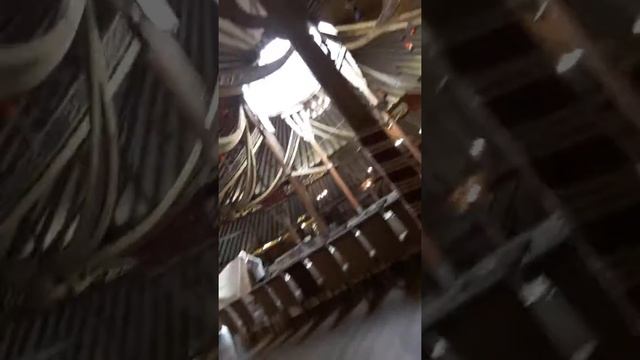 Отдых в лесной сказке смотреть онлайн