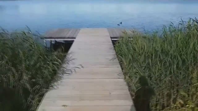 TRAKAI 2017 смотреть онлайн