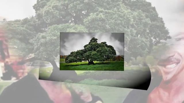 Топ-10 невероятных совпадений в истории смотреть онлайн