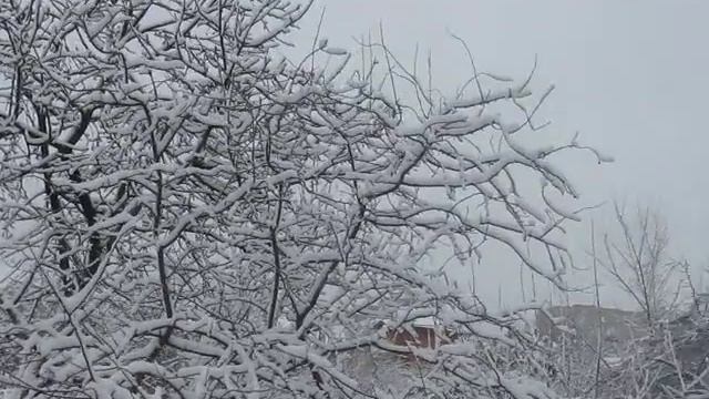 ЗИМА 2012 НОВОВОРОНЕЖ смотреть онлайн