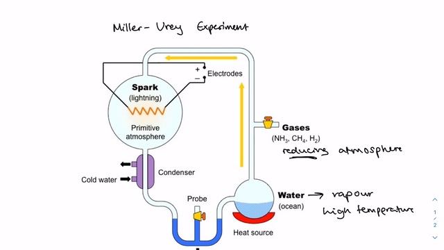IB Biology: Miller-Urey Experiment смотреть онлайн