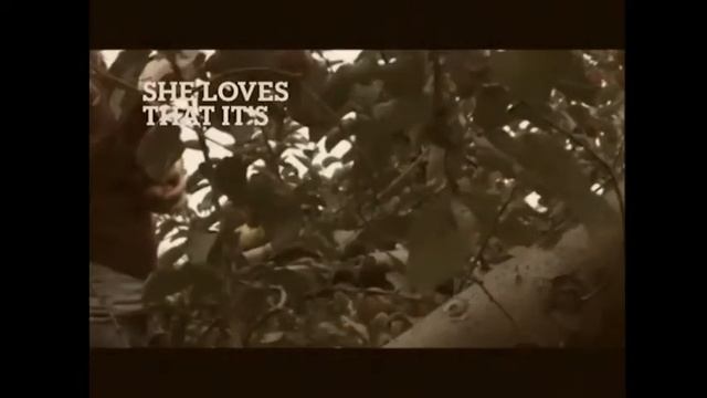 Timberland - колекција за жени - есен/зима 2012 смотреть онлайн