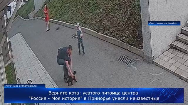 Верните кота: усатого питомца центра "Россия - Моя история" в Приморье унесли неизвестные смотреть онлайн