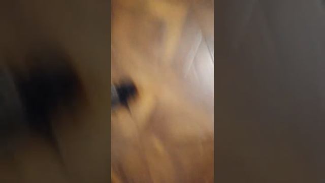 тест новых бутс чек. смотреть онлайн