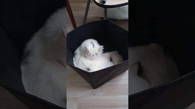 Доступное жильё каждому смотреть онлайн