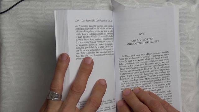 Teil 1: Okkultes Wissen in Harry Potter - Der Stein der Weisen - Frucht einer mystischen Vereinigun смотреть онлайн