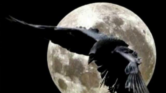 2 1 Ареал дьявола Часть 1 смотреть онлайн