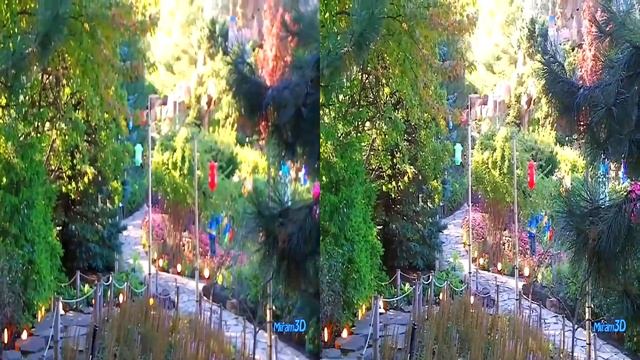 3D TV The Magic of Lanterns, Chinese Garden SBS half смотреть онлайн