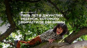 Пять лет в джунглях: ребенок, которого вырастили обезьяны