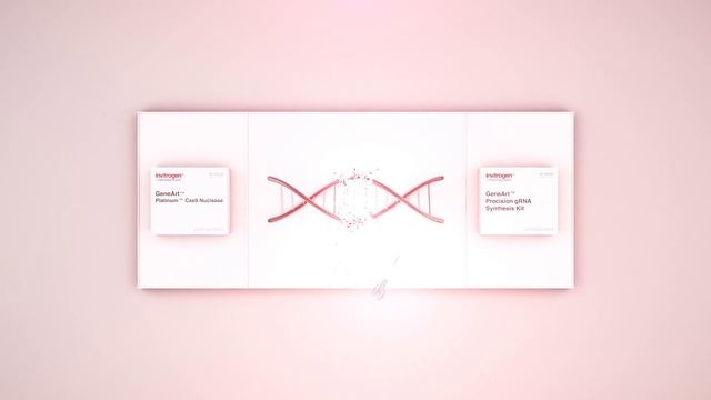 Next level CRISPR editing- Cas9 RNP смотреть онлайн