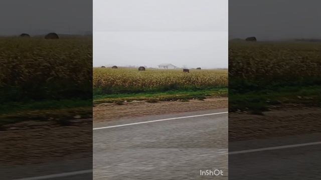 лето прошло.mp4