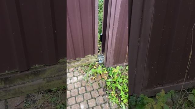 забор смотреть онлайн