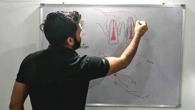 Types of Local anesthesia Injection смотреть онлайн