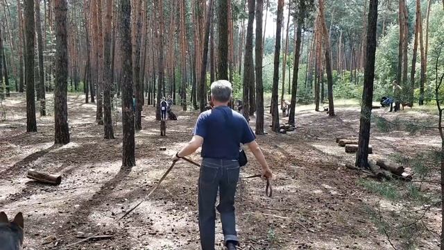 Тренировка в Сосновке 1.07.18 смотреть онлайн